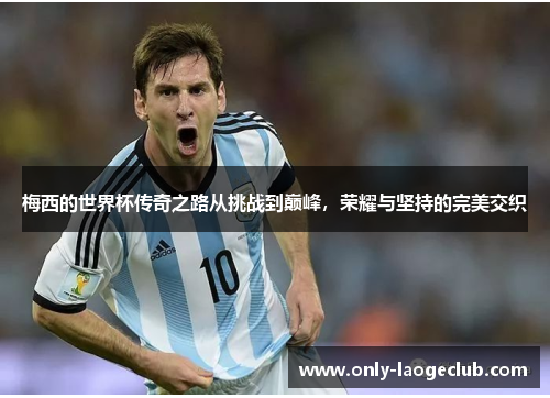 梅西的世界杯传奇之路从挑战到巅峰，荣耀与坚持的完美交织