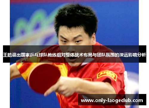 王皓退出国家乒乓球队教练组对整体战术布局与团队氛围的深远影响分析